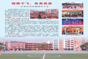 雏雁于飞，各美其美——东莞市凤岗镇雁田小学