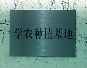 潮州市城基实验中学：劳动教育助力“双减” 促进学生全面发展